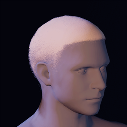 Hair26.png